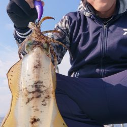 シースナイパー海龍 釣果