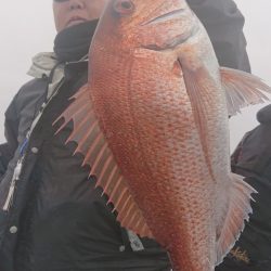 シースナイパー海龍 釣果
