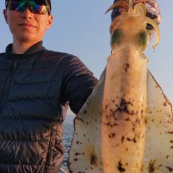 シースナイパー海龍 釣果