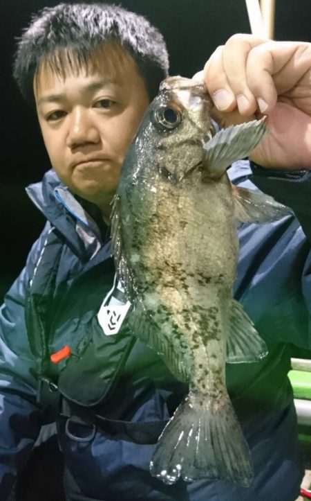 小島丸 釣果
