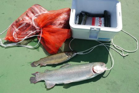 としまえんフィッシングエリア 釣果