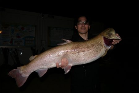 としまえんフィッシングエリア 釣果