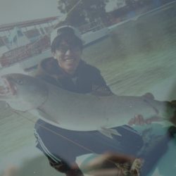 としまえんフィッシングエリア 釣果