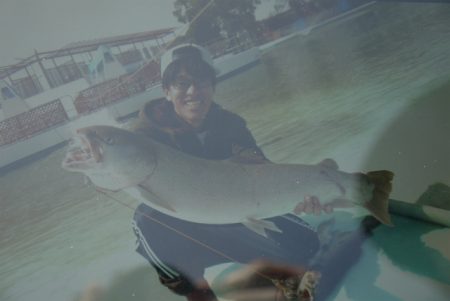 としまえんフィッシングエリア 釣果