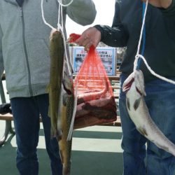 としまえんフィッシングエリア 釣果