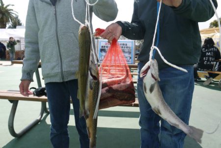 としまえんフィッシングエリア 釣果