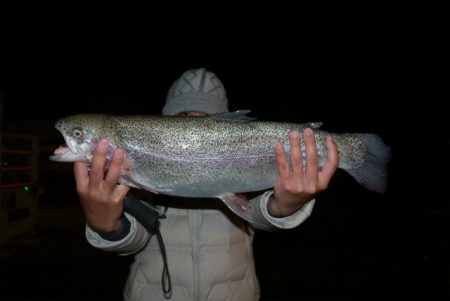 としまえんフィッシングエリア 釣果
