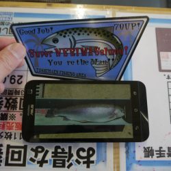 としまえんフィッシングエリア 釣果