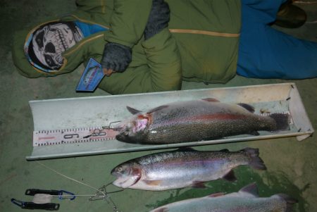 としまえんフィッシングエリア 釣果