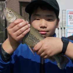 としまえんフィッシングエリア 釣果