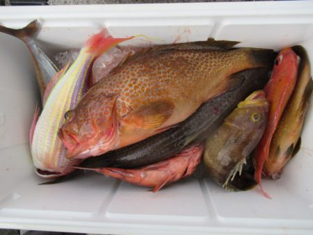 真祐丸 （しんゆうまる） 釣果