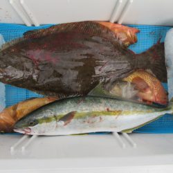 真祐丸 （しんゆうまる） 釣果