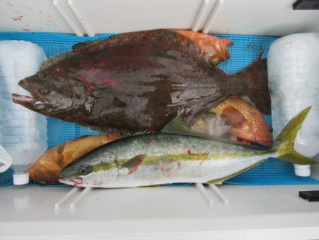 真祐丸 （しんゆうまる） 釣果