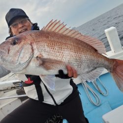 海晴丸 釣果