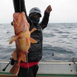 真祐丸 (しんゆうまる) 釣果