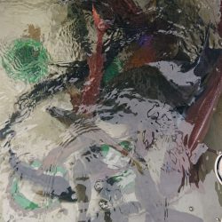 シースナイパー海龍 釣果