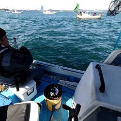 フィッシングガイド りょう 釣果