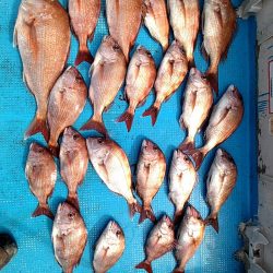 フィッシングガイド りょう 釣果