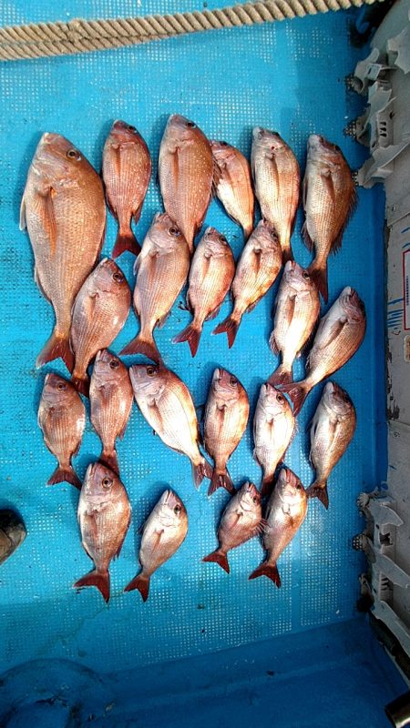 フィッシングガイド りょう 釣果