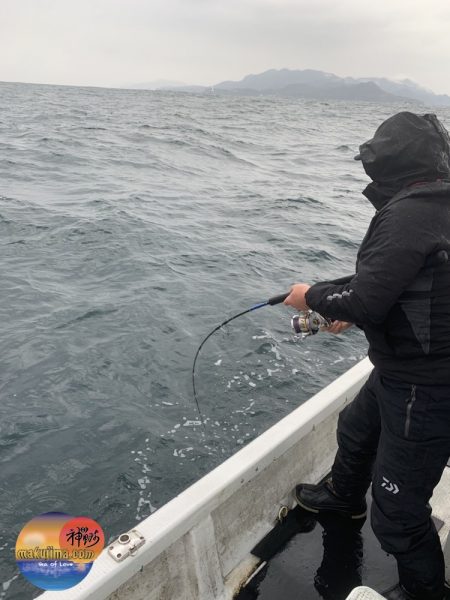 幕島丸 釣果