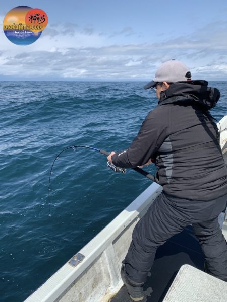幕島丸 釣果