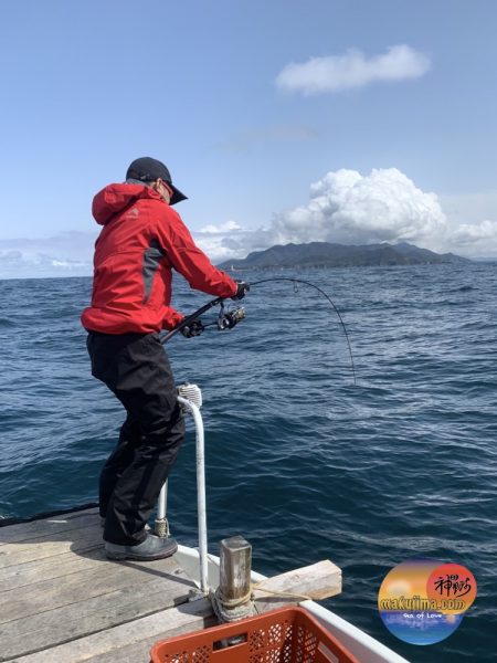 幕島丸 釣果