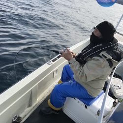 幕島丸 釣果