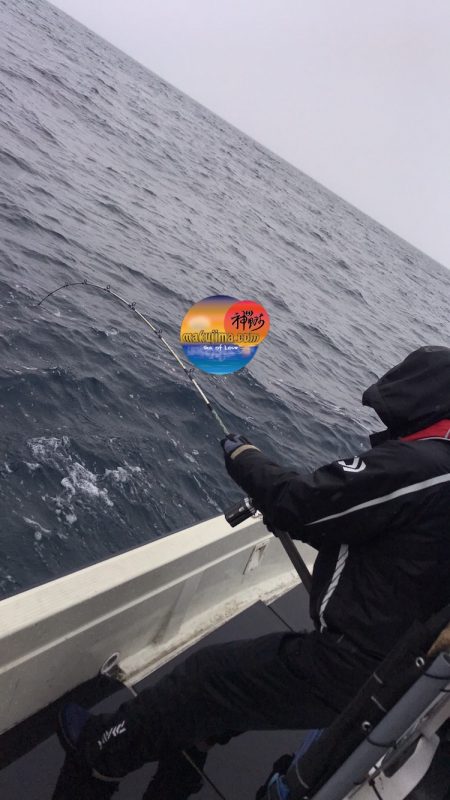 幕島丸 釣果