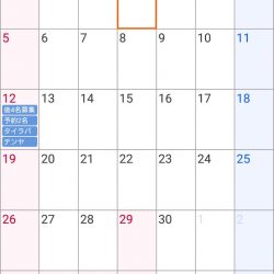 遊漁船 家入 釣果