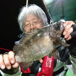 小島丸 釣果