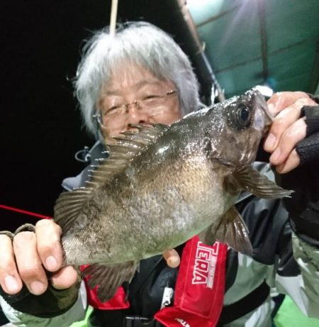 小島丸 釣果