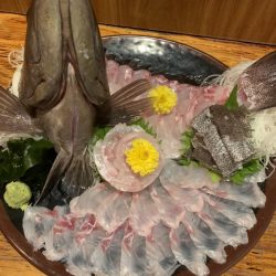 進誠丸 釣果