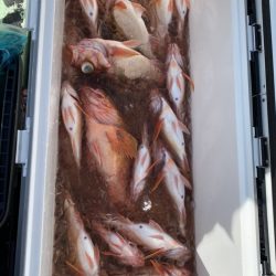 海龍丸（石川） 釣果