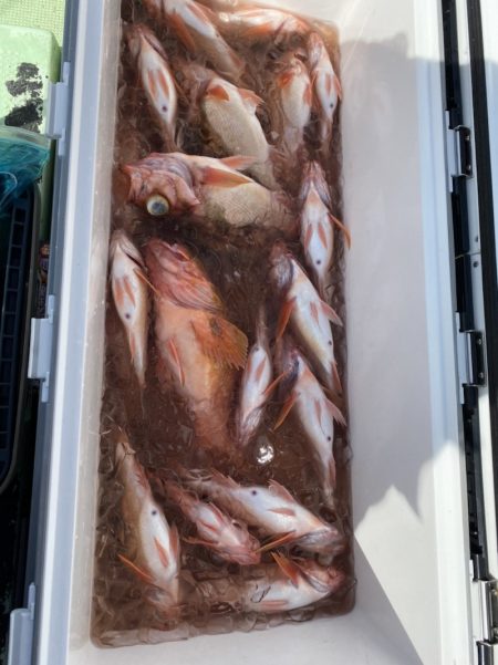 海龍丸（石川） 釣果