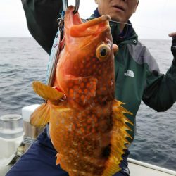 光生丸 釣果