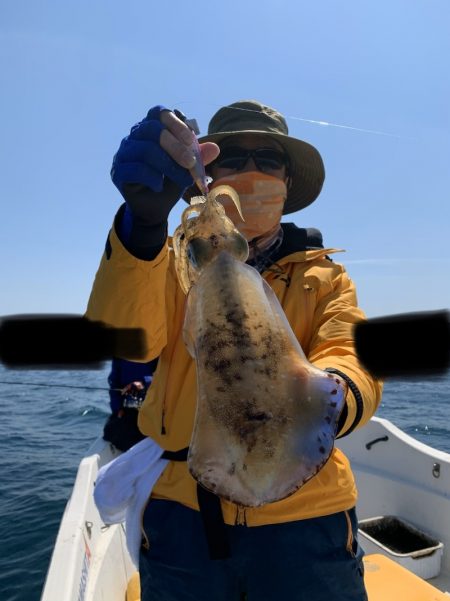 きずなまりん 釣果