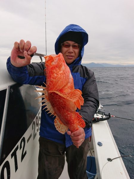 エンペラー 釣果