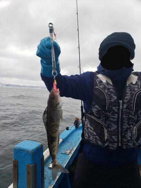 さち丸 釣果