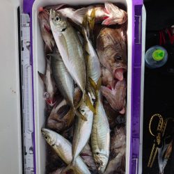 海龍丸（石川） 釣果