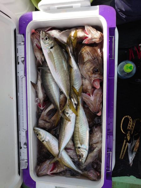 海龍丸（石川） 釣果