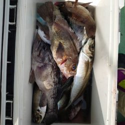 海龍丸（石川） 釣果