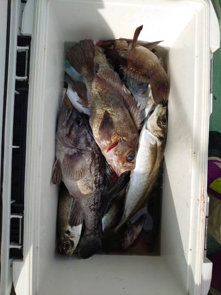 海龍丸（石川） 釣果