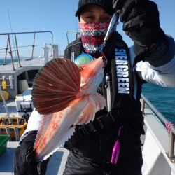 ありもと丸 釣果