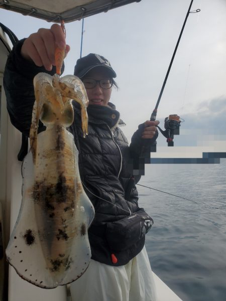 ソルトウォーターガイドフレンズ 釣果