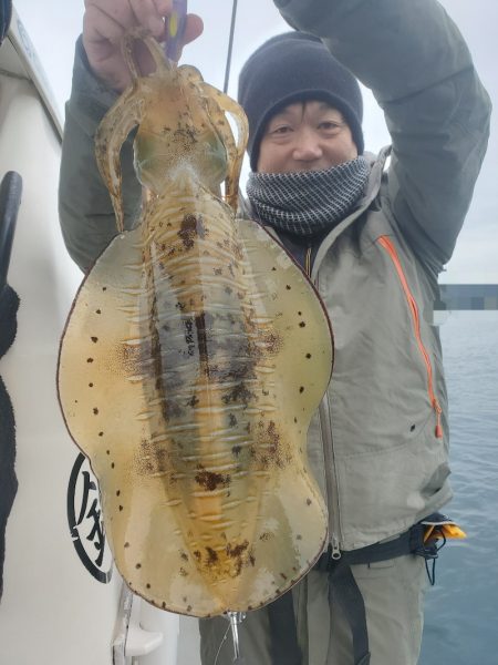 ソルトウォーターガイドフレンズ 釣果