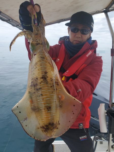 ソルトウォーターガイドフレンズ 釣果