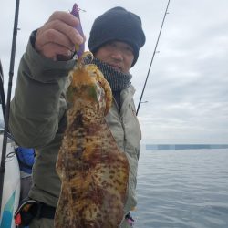 ソルトウォーターガイドフレンズ 釣果