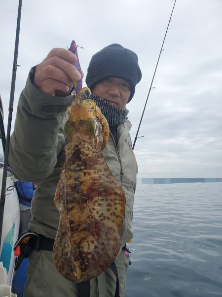 ソルトウォーターガイドフレンズ 釣果