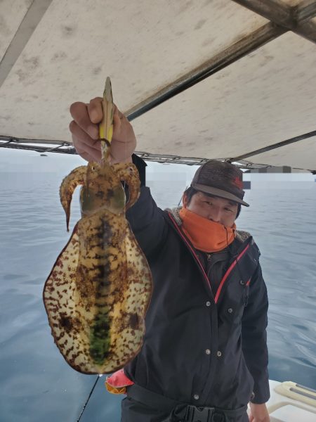 ソルトウォーターガイドフレンズ 釣果