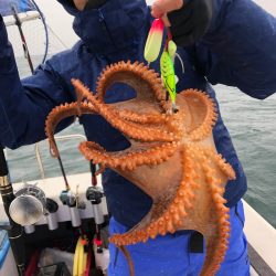 Ｖ−７ West 釣果